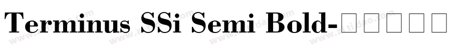Terminus SSi Semi Bold字体转换